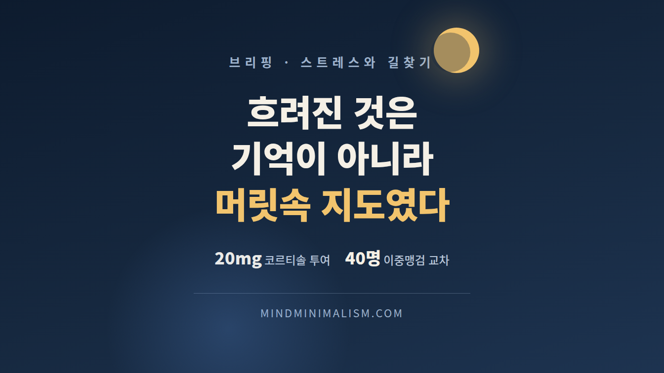 스트레스 호르몬이 올라간 날 뇌 속 지도가 흐려졌다 썸네일