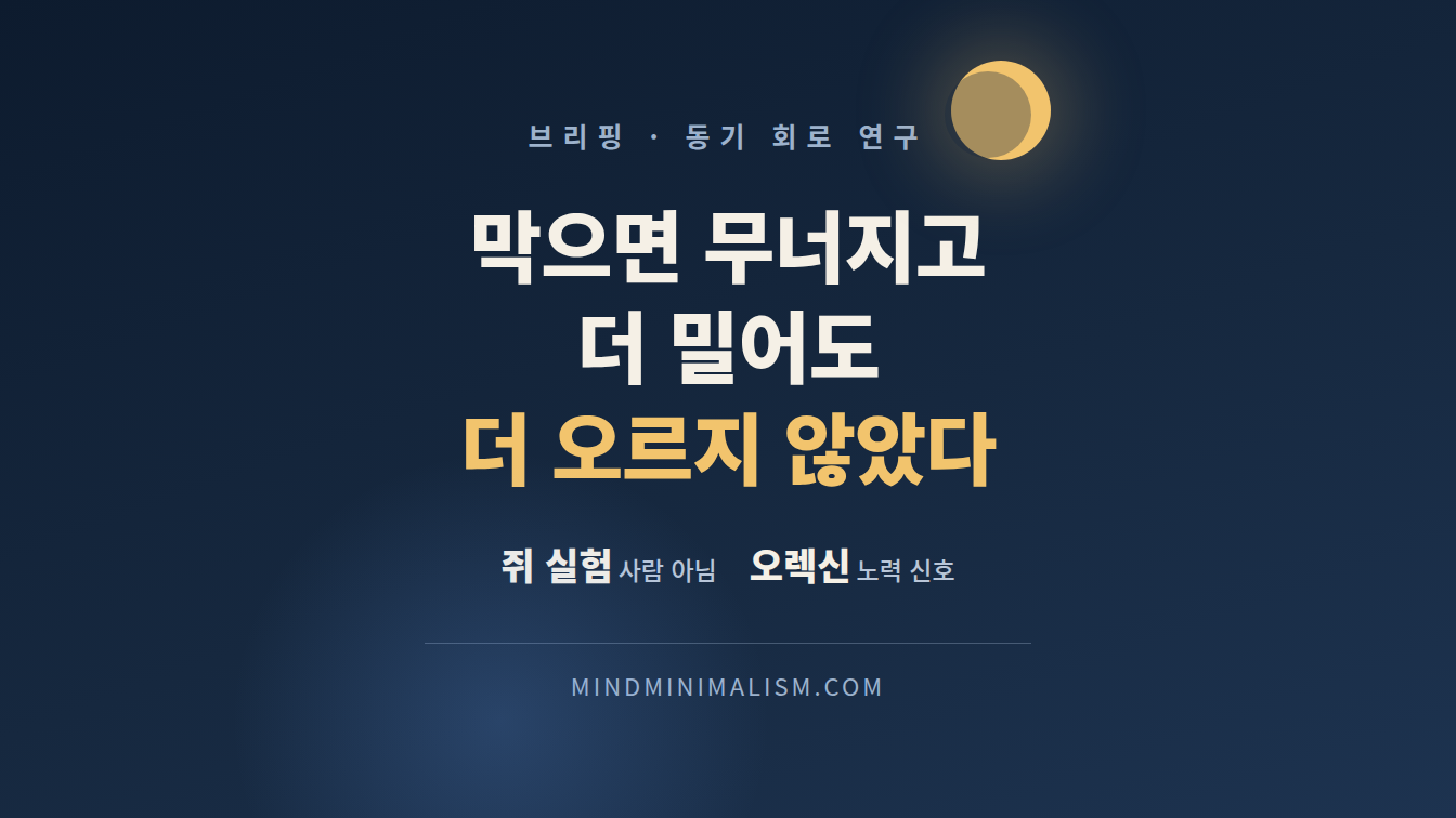 동기 부여는 늘리는 것이 아니라 새지 않게 하는 것 썸네일